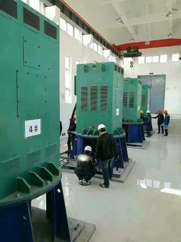Y5005-2某污水处理厂使用我厂的立式高压电机安装现场
