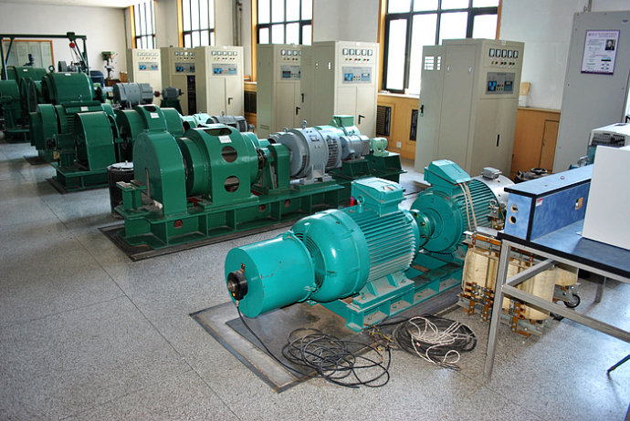 Y5005-2某热电厂使用我厂的YKK高压电机提供动力