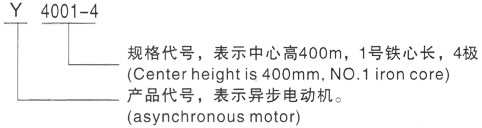 西安泰富西玛Y系列(H355-1000)高压Y5005-2三相异步电机型号说明